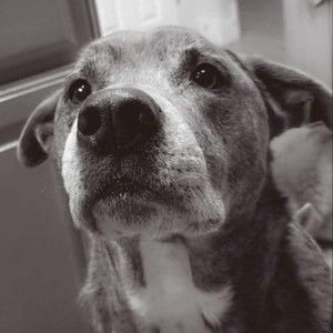 Meet your Posher, Paula